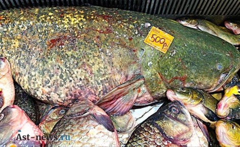 �� �������. �������� ������ ����������, �� ���� � ��������� �� ���������� �������� ������� �������-�� ��������� ������������ ������������ ���������� � ��������� ������ ������ ����������� ����