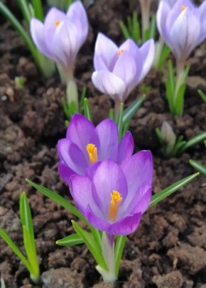 ������������ � ������� �����: �����, ������ � �����������