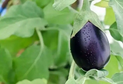 ������� �������� ������� ����������: ��� ����� ����� ��� ��������� ������