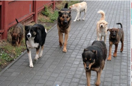 ������������� �� ������ ���������: