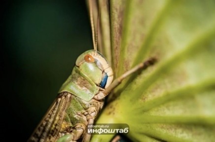 ��� �������� 2025�. ��� ����� ������� ��������� � ��������� �������