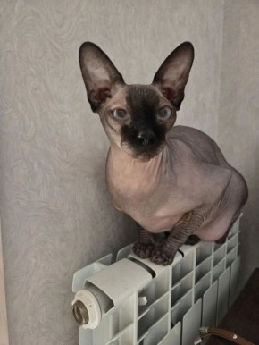 ������ �� 19 �����. � ��������� ������������ ��������� ����������