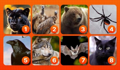 ����� �������� ��������� � ����� ������ �������?