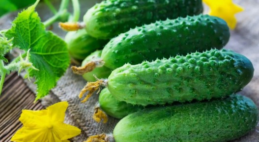 ������� ��������� ����������� �������: ��� ������� ���������� ���������� ������