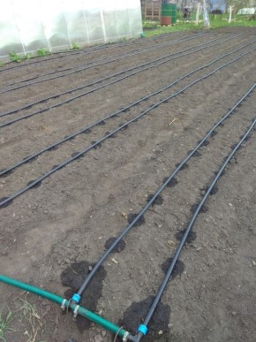 ����������� ��������� �����: ��������� ������� ��� ������ ����