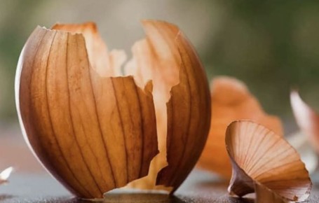 Как яичная скорлупа и луковая шелуха могут преобразить ваш огород