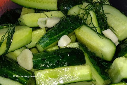 ��������� ����� �� ������� ��� ������: ������, ������, ������