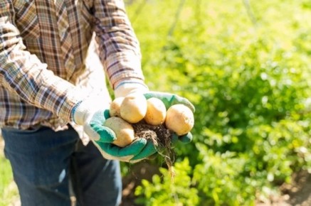 ��� ��������� �������� ������ ���������: ������ ��������