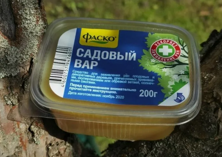 Садовый вар: опасность или полезный инструмент для деревьев?