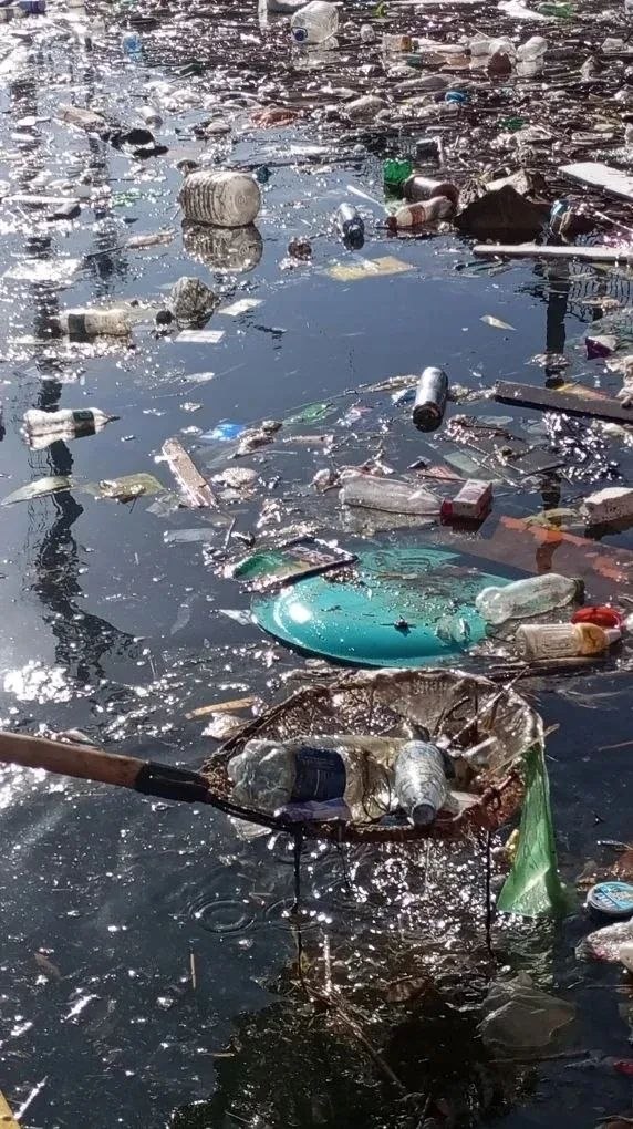 Игорь Редькин: Коммунальные службы приступили к уборке поверхности городских водоемов Игорь Редькин: Коммунальные службы приступили к уборке поверхности городских водоемов