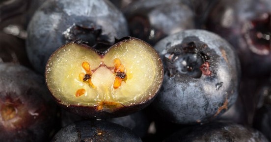 ������������ ������������� �����: 10 �������� ��� ������ ����