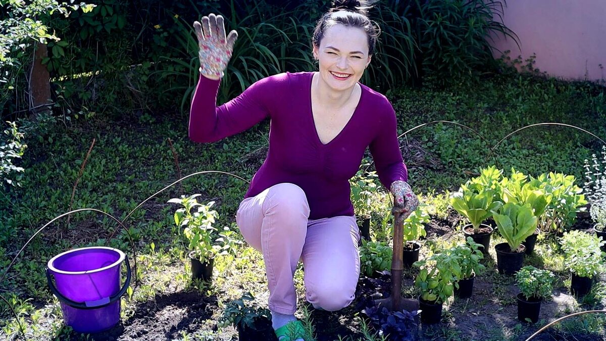 Как правильно выбрать растения для вашего сада