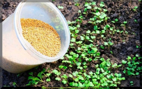 ������� ���������: ��� ������� �������� ��� �������� ����� � �������� ������