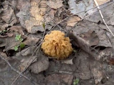 ������� ��������� �������� ������ � �����������: ����� � ����� ����� ������