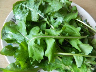 ��� ��������� ������: �������� ������ � �������� ������