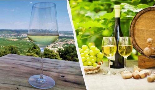 ��� ���������� ������������ ������ ���� ���������� �� ����� ���������