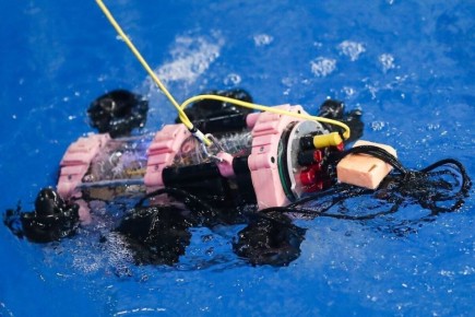 1 � ��������� ������� ����� ������ �� ������� �������������