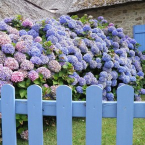 ��� �������� ������� �������� ���������: �������� ������������