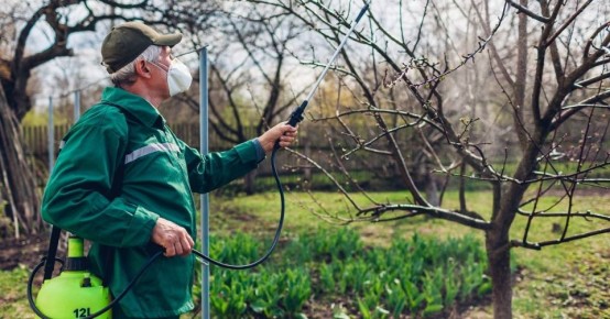 ����������� ������ ����: ����� �������� ������� ������