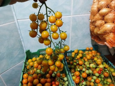 ��� ���������� ��������� ������ ����������� �������