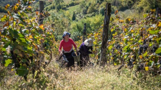 ���� ��������� � ���� �������� � ������� � ���������� �������������