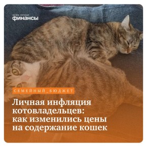 ������� ��������: ��� ���������� ������� ���������� �����