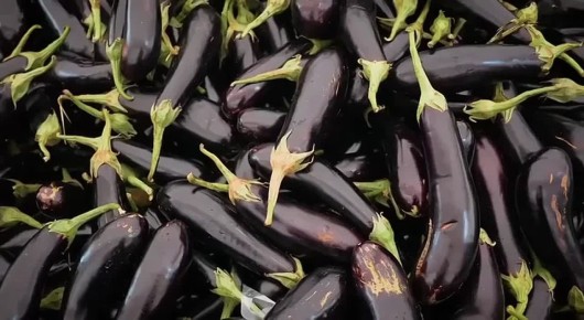 ������ ���� ������ � ���� ������!