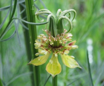 �����, ������� ����� ������ ����� � ����� � ���