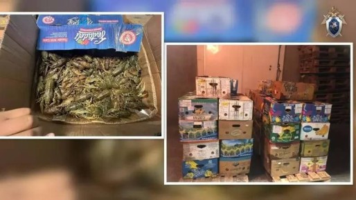 Астраханца осудят за попытку сбыта 1,7 тонны тонны живых раков
