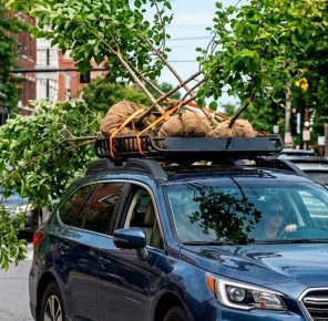 �� ��������� �������� �� ����� ���������� ����� �����������