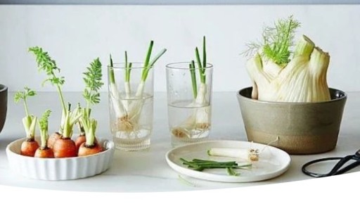 ������� ���� �����: ������� ���������� ������ �� ����� �����������