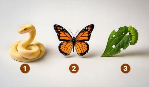 ����� �� �����������: �������� ����, ������� ��� �������� � ������� ���� ���������