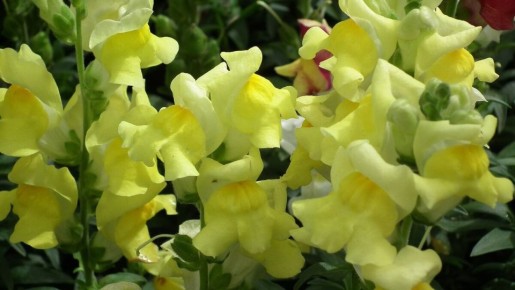 ������� ���: ��������� �������� � ��������, �������� �� ������ ����