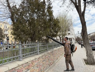 ����� ������� �������� � ������� ����� ����