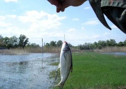 ������������ ������ ������� ����������� ������ ���� �� 2027 ���