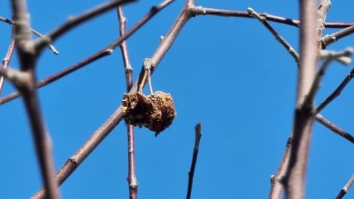 ����� � ��� ���������� ��� �� ��������: ������ ������