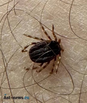 � ������������ ������� ������������� ������ ����� ������ � 2026 ����