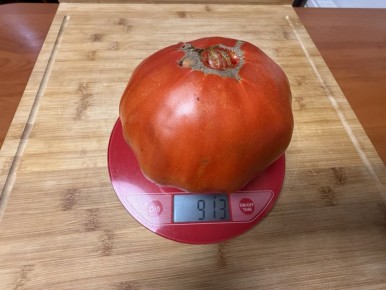 ������ �� �����: ������ � ������� ����� ��� ������ ����