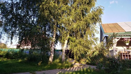 ����� �������� � ����� ������: ������ �� �������� �������