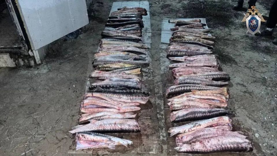 � ��������� ������ ��������������� ��������� ���������������� ���������� �������������� ���������� ����� ����� �� ��������� � ��������� ������