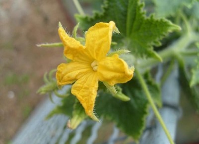 ��� �������� ����� ������� ���� � �������� ���