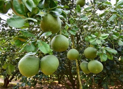 ��� ��������� � ��� ������� ������: ������������ ����� ��� ������ �����