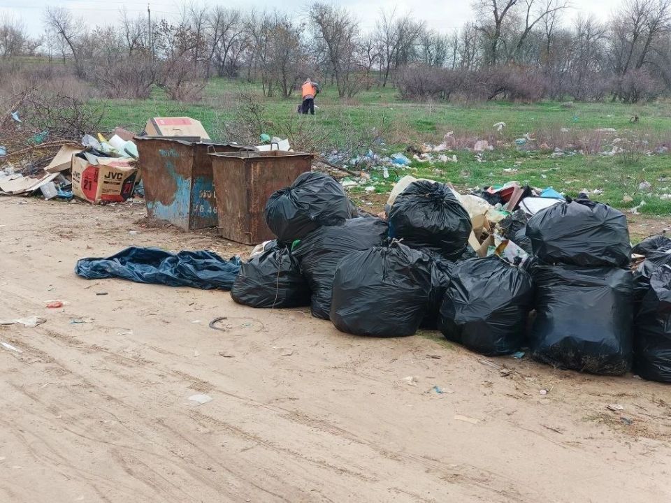 ��������� �������� ������: ����� �����!