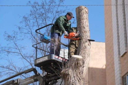 ����� ������������ ������� � �������