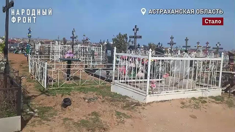 ����� 300 ����� ������: � ������������� ������ �������� ��������