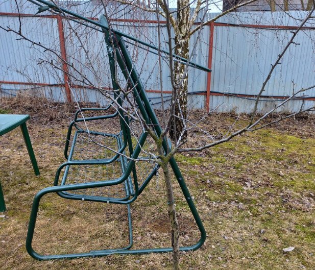 Весенние заботы: как подготовить сад к новому сезону