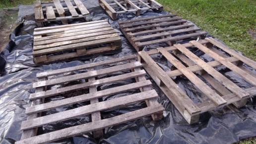 ��������� ������������� ������������ ��������: ������ ��� �������