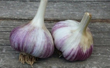 ������ ������ ������� ��������, � ��� ��������: ��� �������� ������ � �����