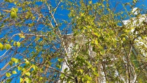 В Астраханской области завтра тепло и ветрено