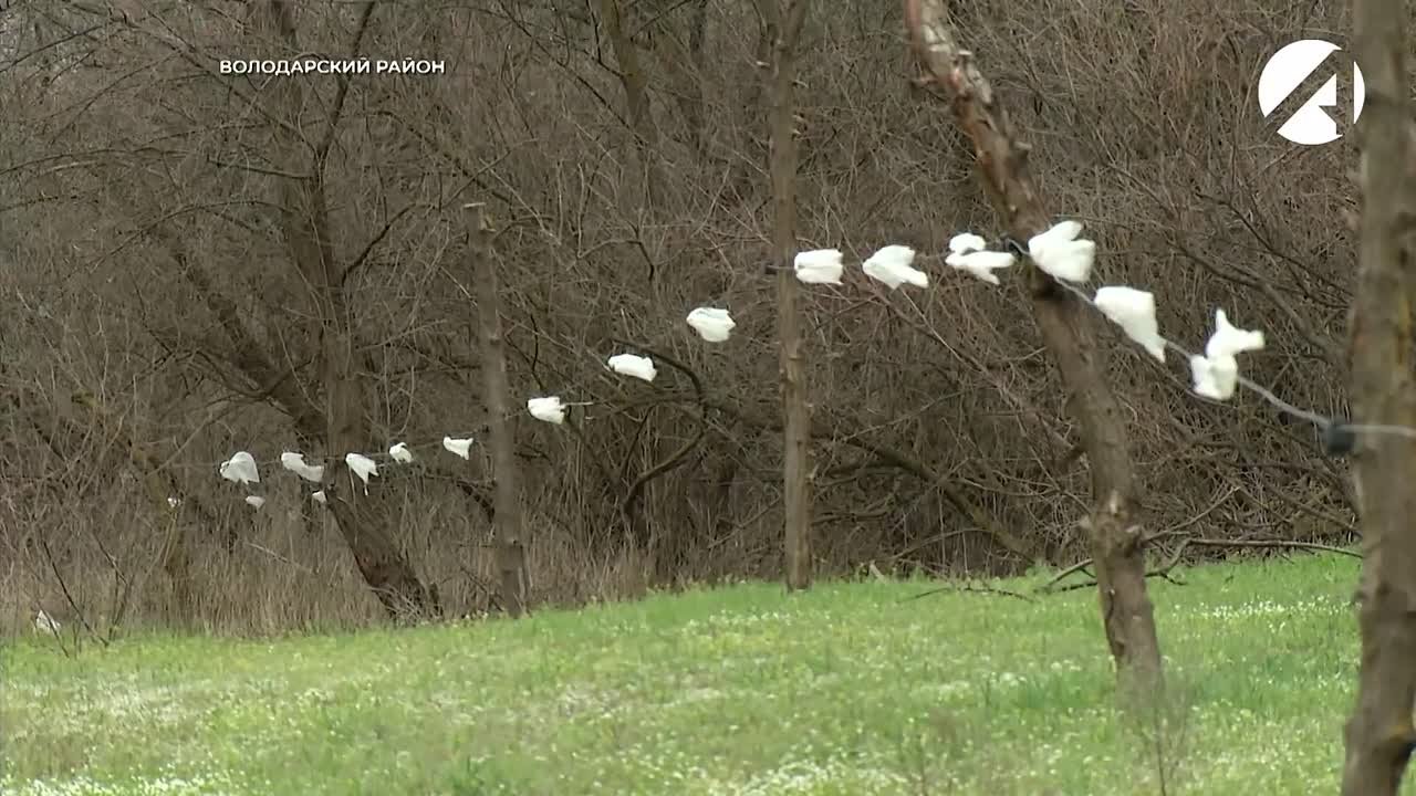 В Астраханской области ужесточают контроль за выпасом скота